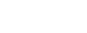 AN&Co